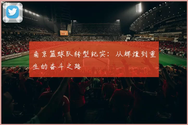 南京篮球队转型纪实：从辉煌到重生的奋斗之路