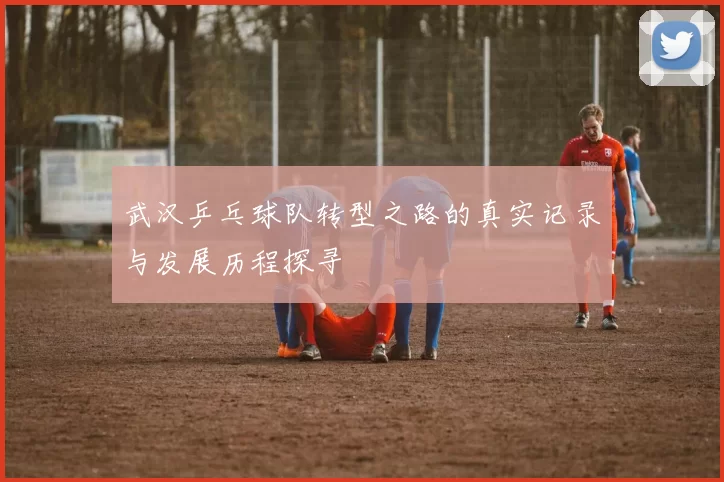 武汉乒乓球队转型之路的真实记录与发展历程探寻