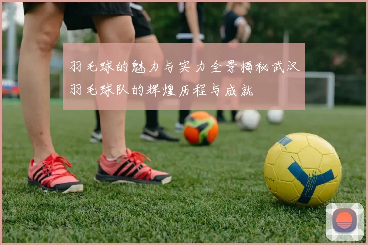 羽毛球的魅力与实力全景揭秘武汉羽毛球队的辉煌历程与成就