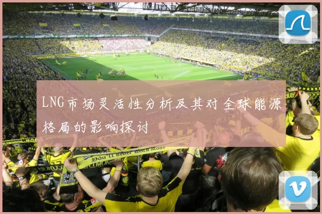LNG市场灵活性分析及其对全球能源格局的影响探讨