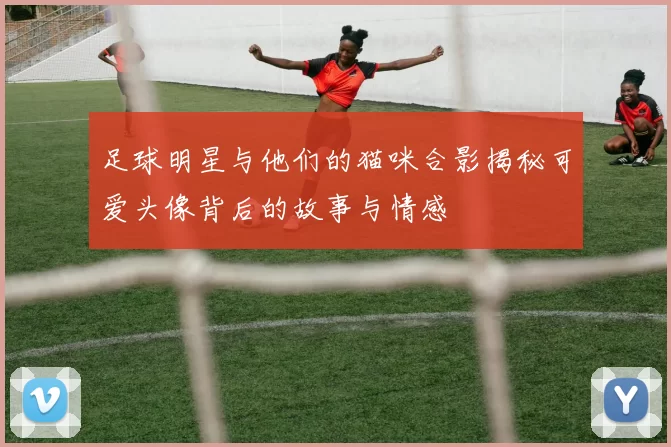 足球明星与他们的猫咪合影揭秘可爱头像背后的故事与情感