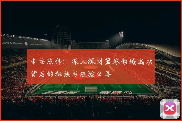 专访陈伟：深入探讨篮球领域成功背后的秘诀与经验分享