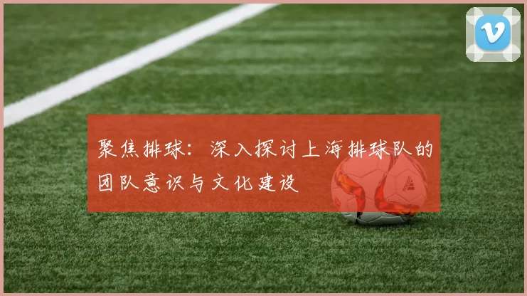 聚焦排球：深入探讨上海排球队的团队意识与文化建设