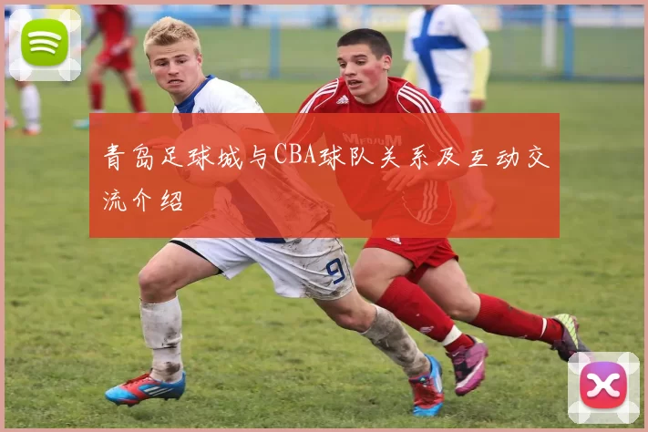 青岛足球城与CBA球队关系及互动交流介绍