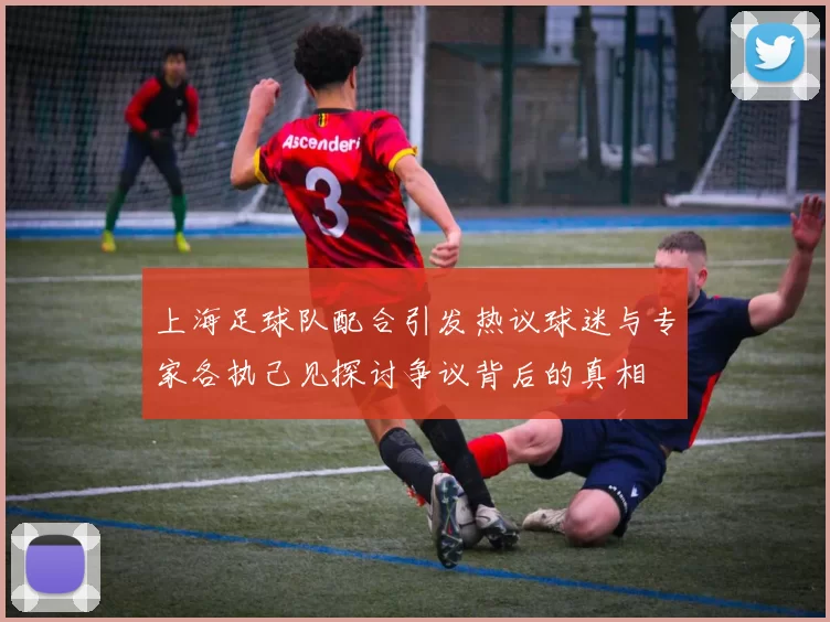 上海足球队配合引发热议球迷与专家各执己见探讨争议背后的真相