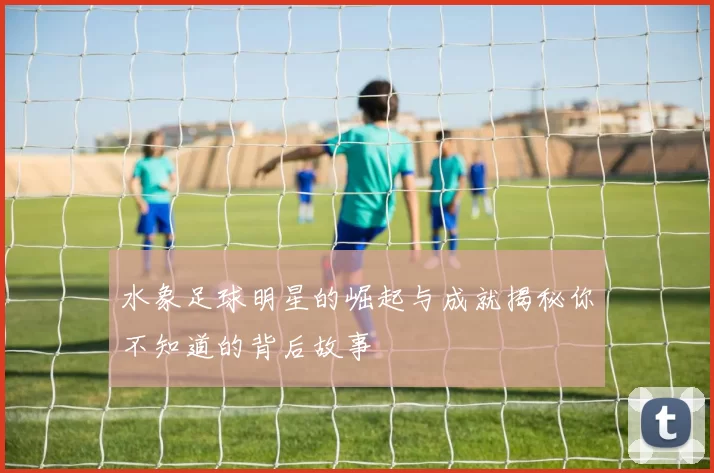 水象足球明星的崛起与成就揭秘你不知道的背后故事