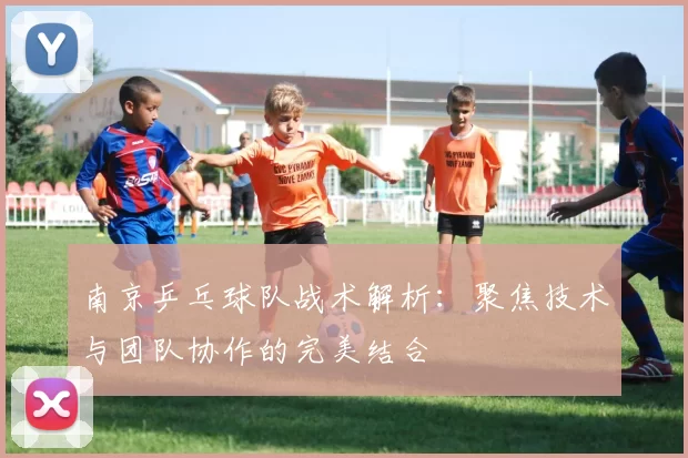 南京乒乓球队战术解析：聚焦技术与团队协作的完美结合