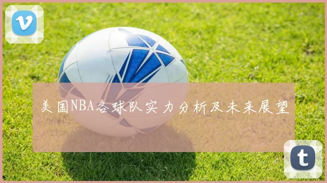 美国NBA各球队实力分析及未来展望