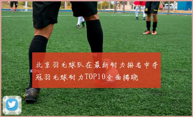 北京羽毛球队在最新耐力排名中夺冠羽毛球耐力TOP10全面揭晓