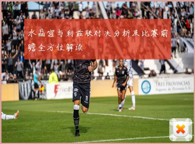 水晶宫与利兹联对决分析及比赛前瞻全方位解读