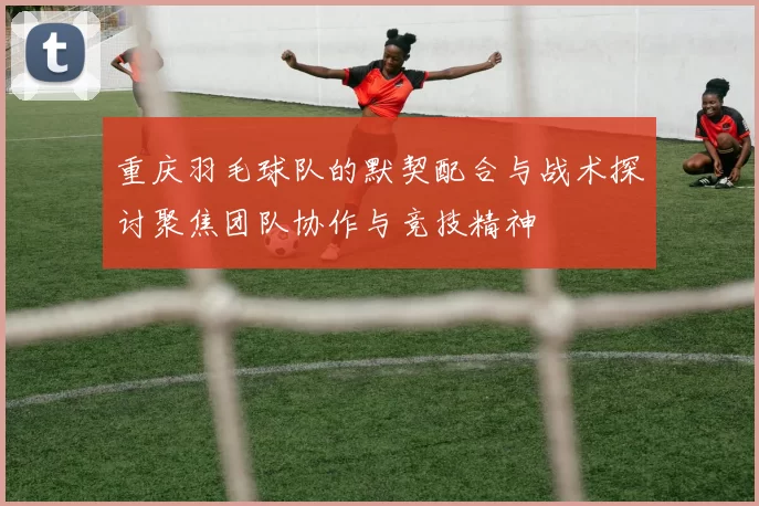 重庆羽毛球队的默契配合与战术探讨聚焦团队协作与竞技精神