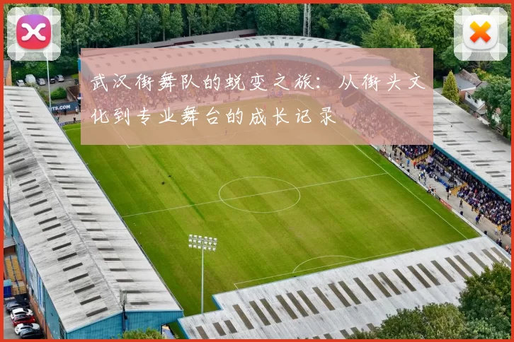 武汉街舞队的蜕变之旅：从街头文化到专业舞台的成长记录
