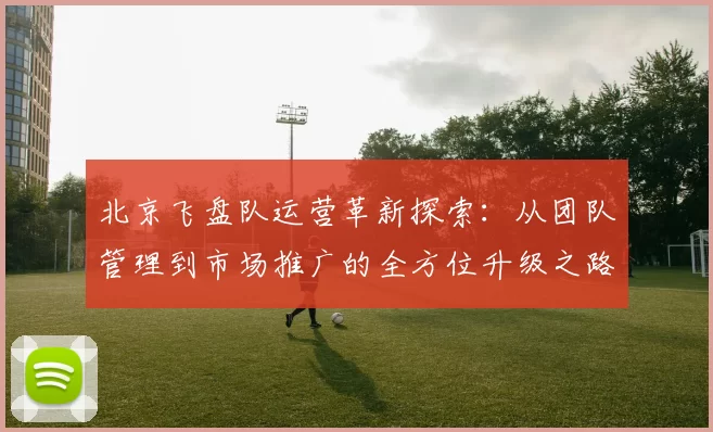 北京飞盘队运营革新探索：从团队管理到市场推广的全方位升级之路