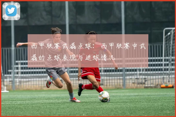 西甲联赛武磊点球：西甲联赛中武磊的点球表现与进球情况
