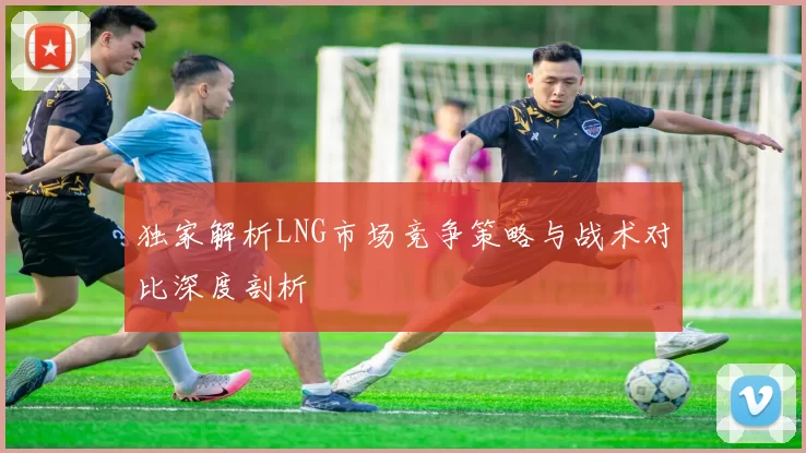 独家解析LNG市场竞争策略与战术对比深度剖析