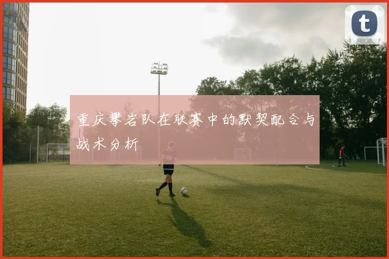 重庆攀岩队在联赛中的默契配合与战术分析