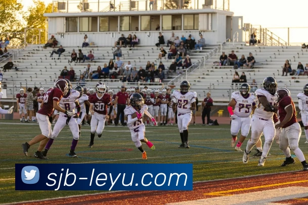 乐鱼体育平台生态图